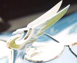 Radiator Cap Mascot