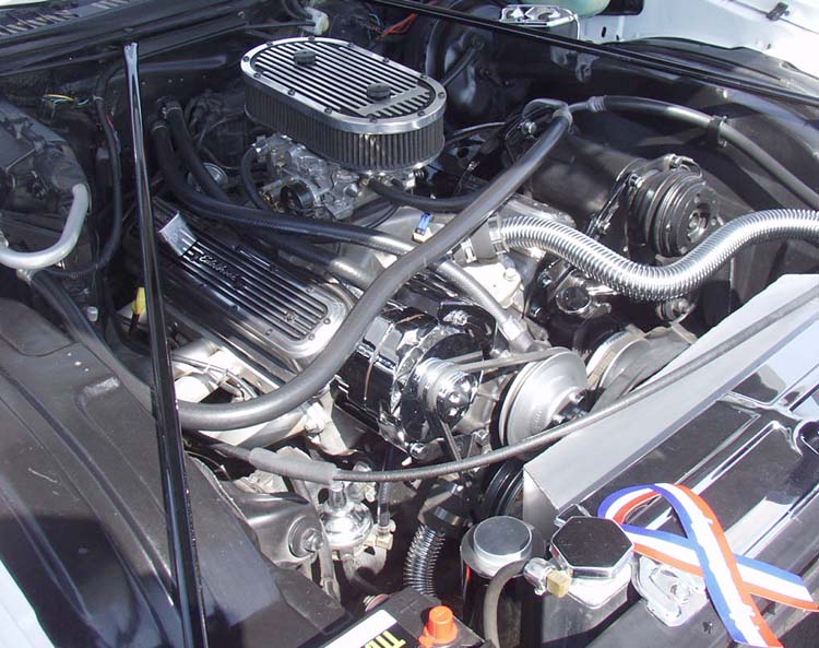 73 Chevy Monte Carlo Coupe w/SBC V8